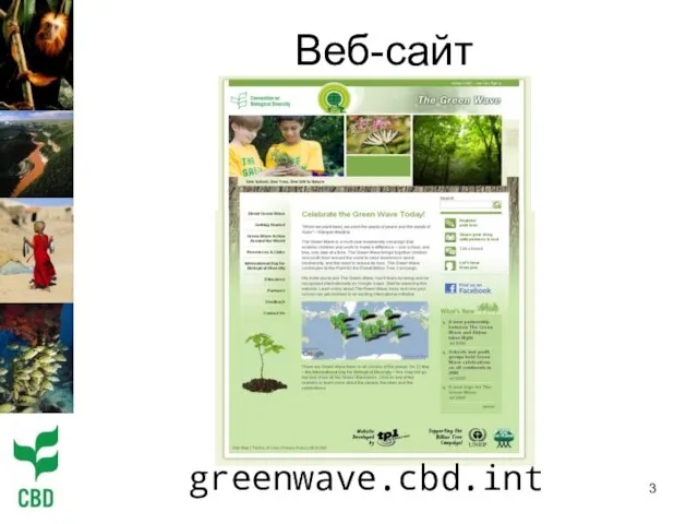 Веб-сайт greenwave.cbd.int