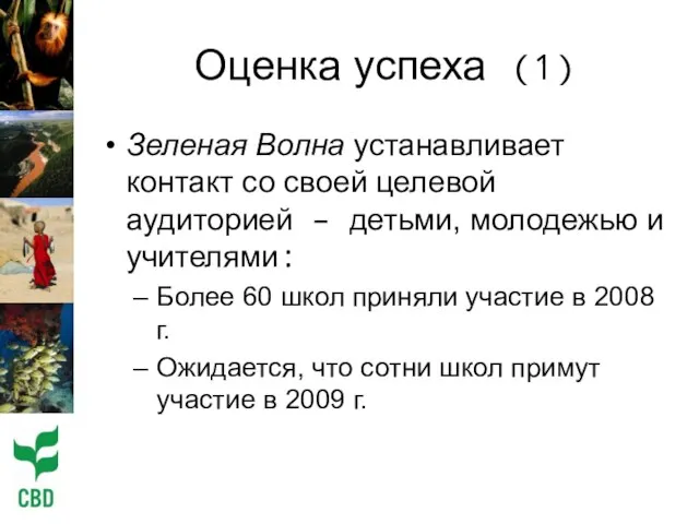 Оценка успеха (1) Зеленая Волна устанавливает контакт со своей целевой аудиторией –