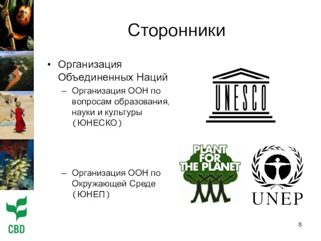 Сторонники Организация Объединенных Наций Организация ООН по вопросам образования, науки и культуры