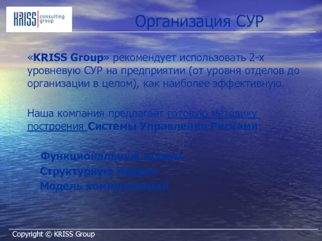 Организация СУР «KRISS Group» рекомендует использовать 2-х уровневую СУР на предприятии (от