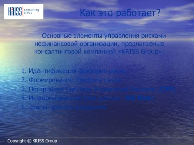 Как это работает? Основные элементы управления рисками нефинансовой организации, предлагаемые консалтинговой компанией