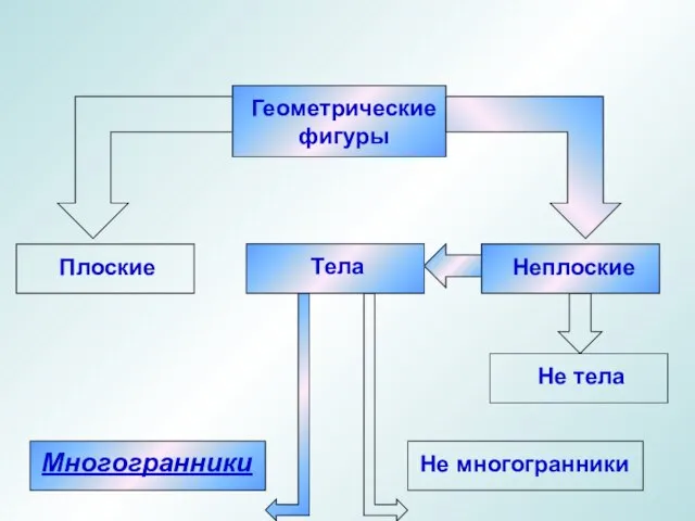 Многогранники Тела Геометрические фигуры Плоские Неплоские Не многогранники Не тела