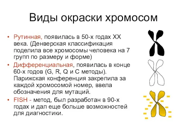 Виды окраски хромосом Рутинная, появилась в 50-х годах ХХ века. (Денверская классификация