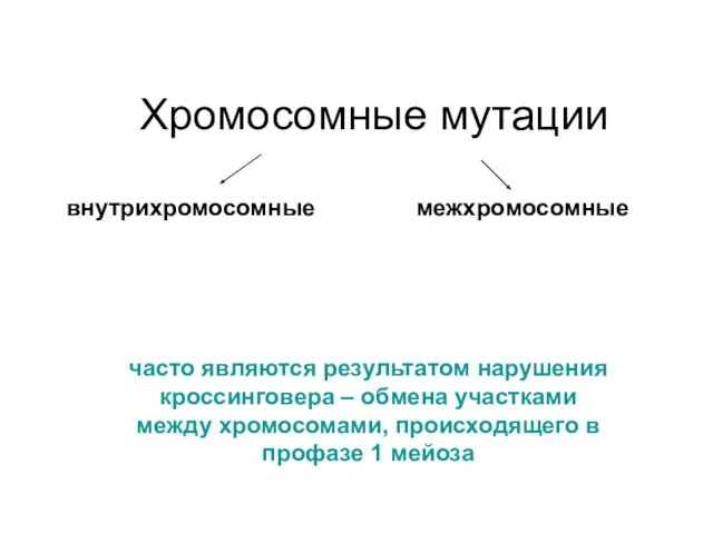 Хромосомные мутации часто являются результатом нарушения кроссинговера – обмена участками между хромосомами,