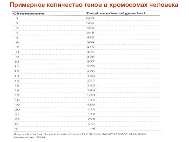 Примерное количество генов в хромосомах человека