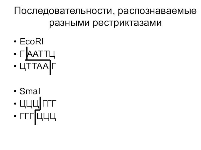 Последовательности, распознаваемые разными рестриктазами EcoRI Г ААТТЦ ЦТТАА Г SmaI ЦЦЦ ГГГ ГГГ ЦЦЦ