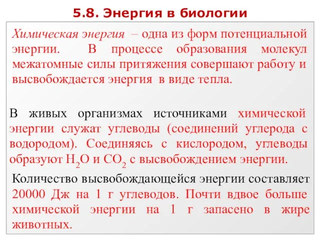 5.8. Энергия в биологии