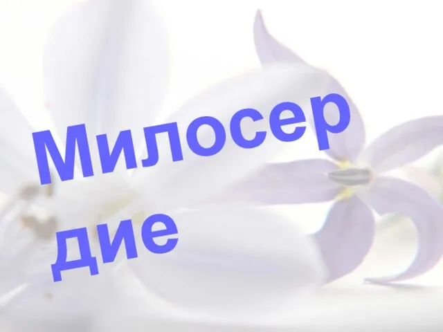 Милосердие