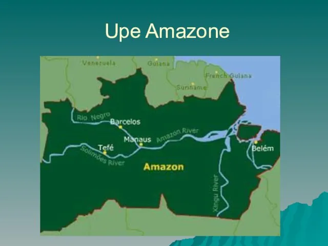 Upe Amazone