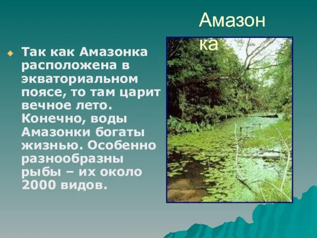 Так как Амазонка расположена в экваториальном поясе, то там царит вечное лето.