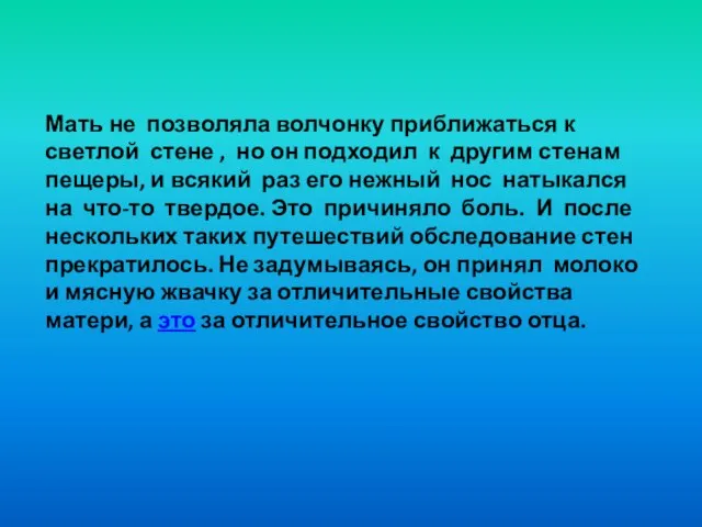 Мать не позволяла волчонку приближаться к светлой стене , но он подходил