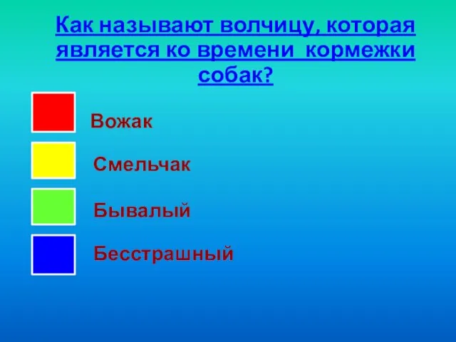 Как называют волчицу, которая является ко времени кормежки собак?