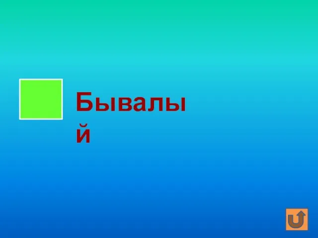 Бывалый