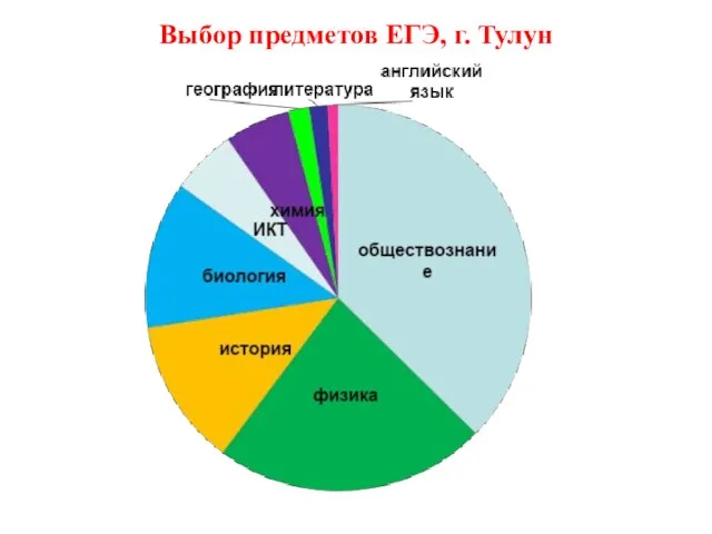 Выбор предметов ЕГЭ, г. Тулун