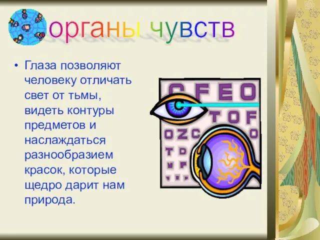 Глаза позволяют человеку отличать свет от тьмы, видеть контуры предметов и наслаждаться