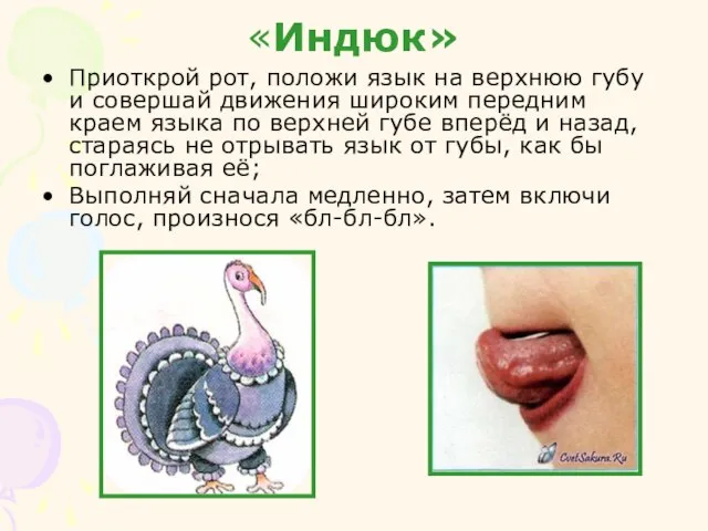 «Индюк» Приоткрой рот, положи язык на верхнюю губу и совершай движения широким