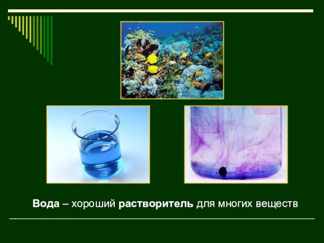 Вода – хороший растворитель. В ней растворяются твёрдые, жидкие и газообразные вещества.