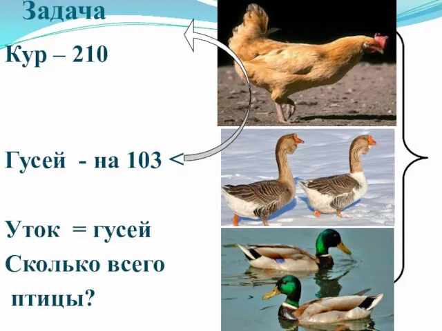 Задача Кур – 210 Гусей - на 103 Уток = гусей Сколько всего птицы?