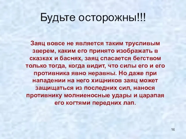 Будьте осторожны!!! Заяц вовсе не является таким трусливым зверем, каким его принято