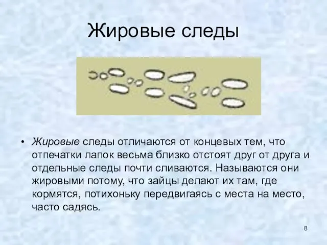 Жировые следы Жировые следы отличаются от концевых тем, что отпечатки лапок весьма