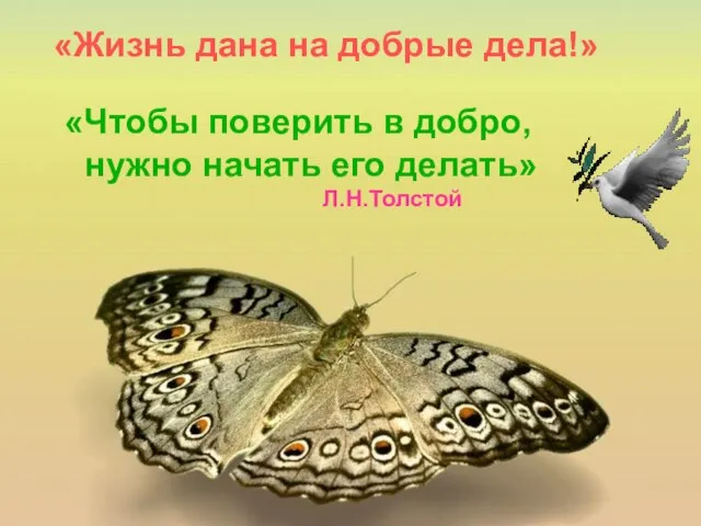 «Жизнь дана на добрые дела!» «Чтобы поверить в добро, нужно начать его делать» Л.Н.Толстой