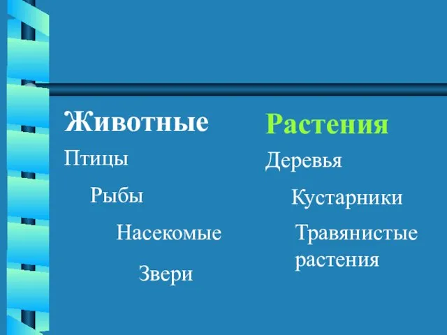 Животные Птицы Рыбы Насекомые Звери Растения Деревья Кустарники Травянистые растения