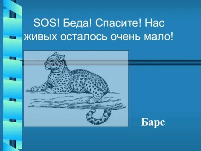 SOS! Беда! Спасите! Нас живых осталось очень мало! Барс