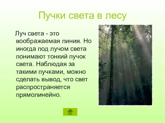 Пучки света в лесу Луч света - это воображаемая линия. Но иногда