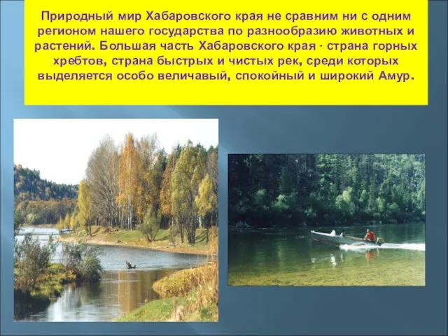 Природный мир Хабаровского края не сравним ни с одним регионом нашего государства