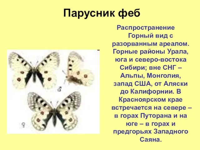 Парусник феб Распространение Горный вид с разорванным ареалом. Горные районы Урала, юга