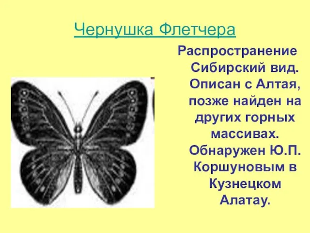 Чернушка Флетчера Распространение Сибирский вид. Описан с Алтая, позже найден на других