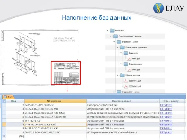 Наполнение баз данных