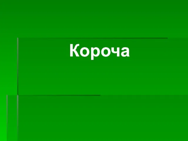 Короча