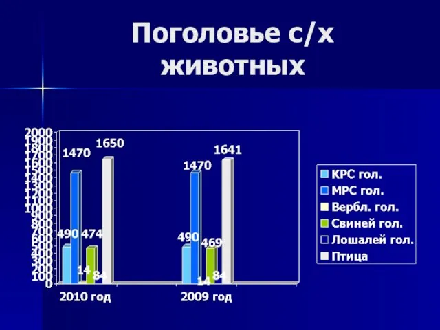 Поголовье с/х животных