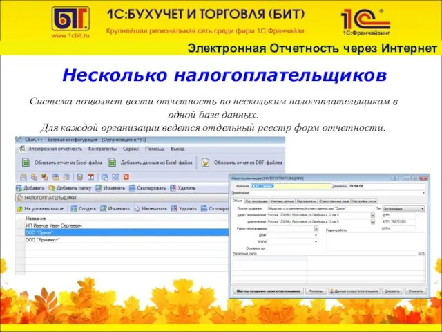 Несколько налогоплательщиков Система позволяет вести отчетность по нескольким налогоплательщикам в одной базе