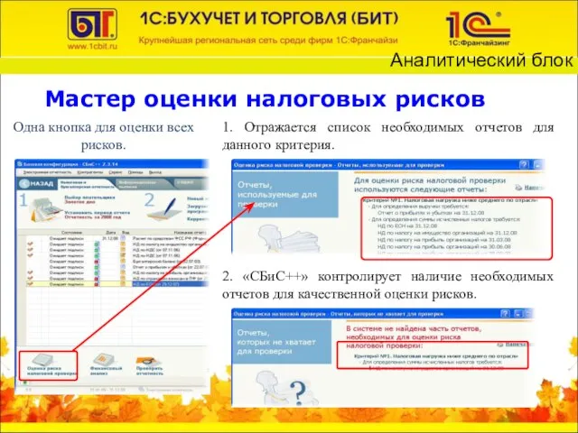 Мастер оценки налоговых рисков Одна кнопка для оценки всех рисков. 1. Отражается