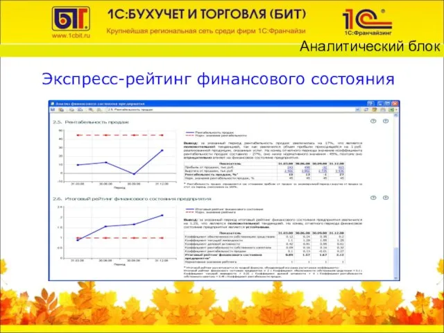 Экспресс-рейтинг финансового состояния Аналитический блок