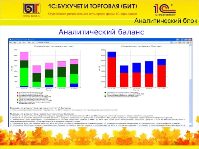 Аналитический баланс Аналитический блок