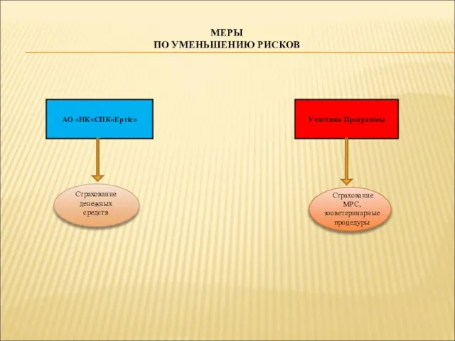 МЕРЫ ПО УМЕНЬШЕНИЮ РИСКОВ АО «НК«СПК«Ертiс» Участник Программы Страхование денежных средств Страхование МРС, зооветеринарные процедуры