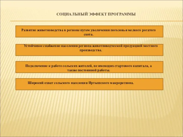 СОЦИАЛЬНЫЙ ЭФФЕКТ ПРОГРАММЫ Развитие животноводства в регионе путем увеличения поголовья мелкого рогатого