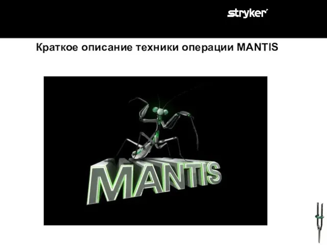 Краткое описание техники операции MANTIS