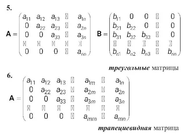 5. треугольные матрицы 6. трапециевидная матрица