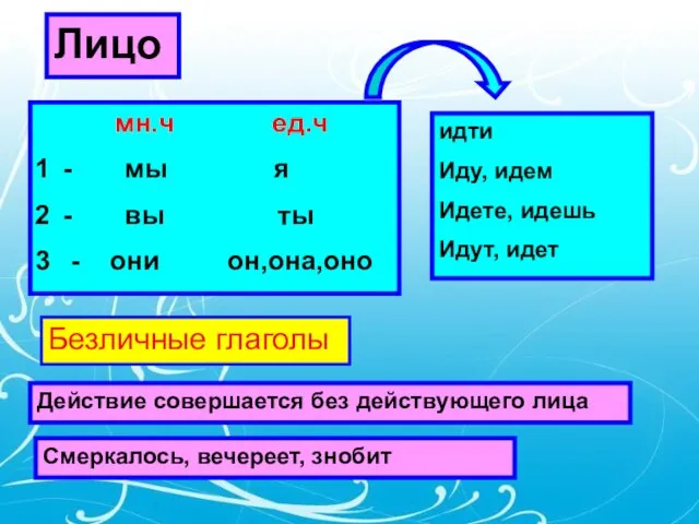 Лицо мн.ч ед.ч - мы я - вы ты - они он,она,оно