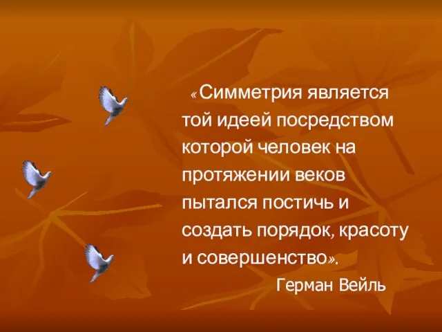 « Симметрия является той идеей посредством которой человек на протяжении веков пытался