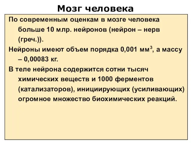 Мозг человека По современным оценкам в мозге человека больше 10 млр. нейронов