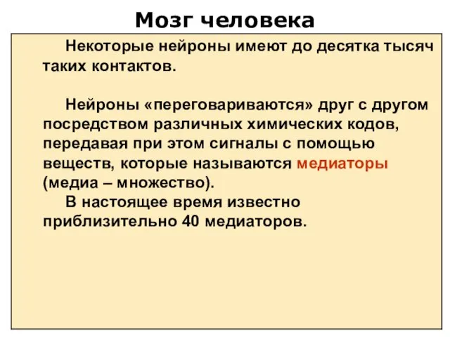 Мозг человека Некоторые нейроны имеют до десятка тысяч таких контактов. Нейроны «переговариваются»