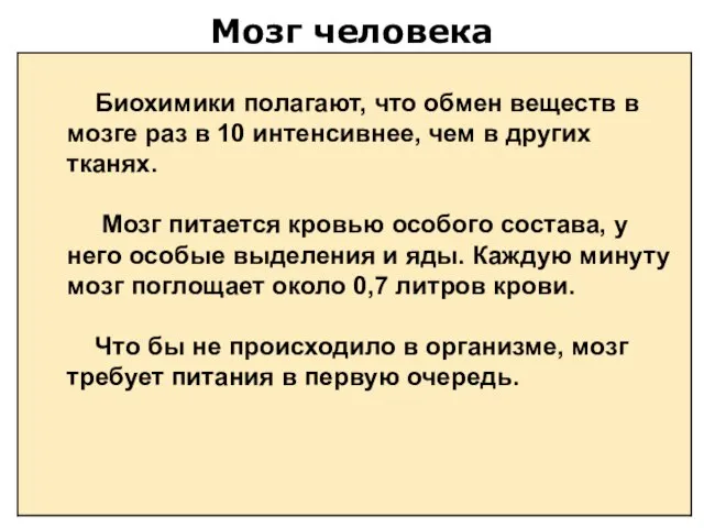 Мозг человека Биохимики полагают, что обмен веществ в мозге раз в 10