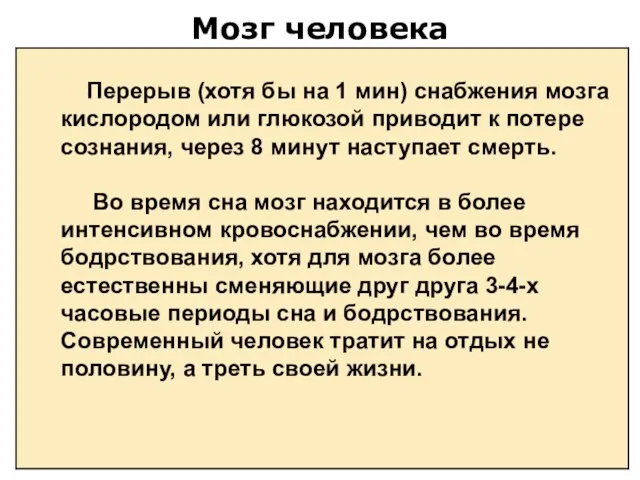 Мозг человека Перерыв (хотя бы на 1 мин) снабжения мозга кислородом или