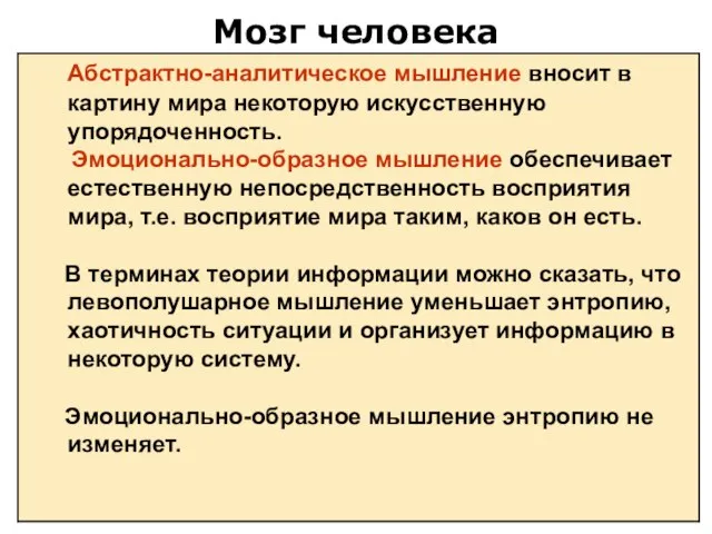 Мозг человека Абстрактно-аналитическое мышление вносит в картину мира некоторую искусственную упорядоченность. Эмоционально-образное