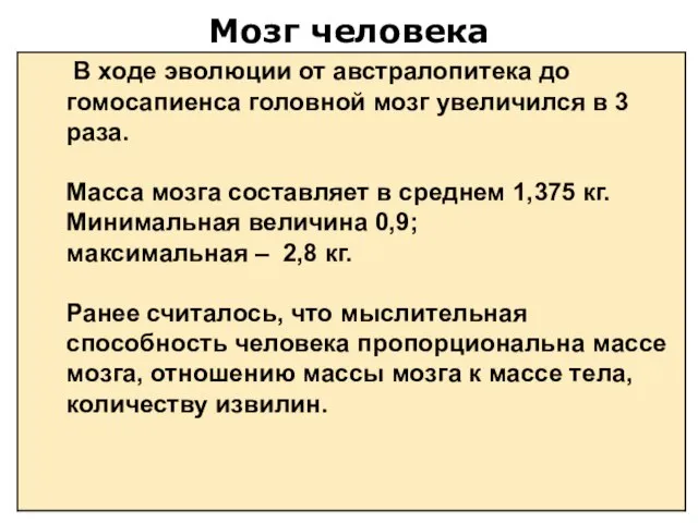 Мозг человека В ходе эволюции от австралопитека до гомосапиенса головной мозг увеличился